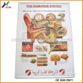 Promotion Embossed Poster 3D Embossed Medical Poster